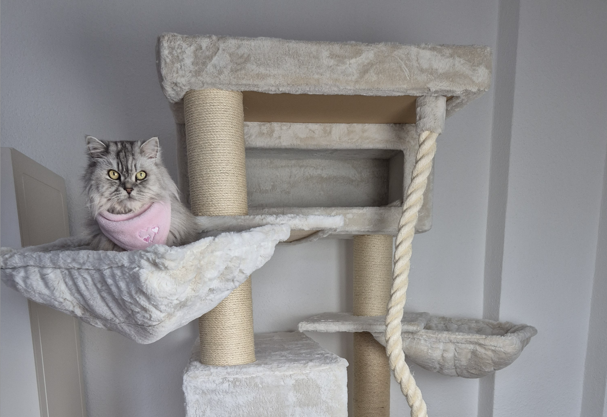 7 Beispiele für multifunktionale Katzenmöbel