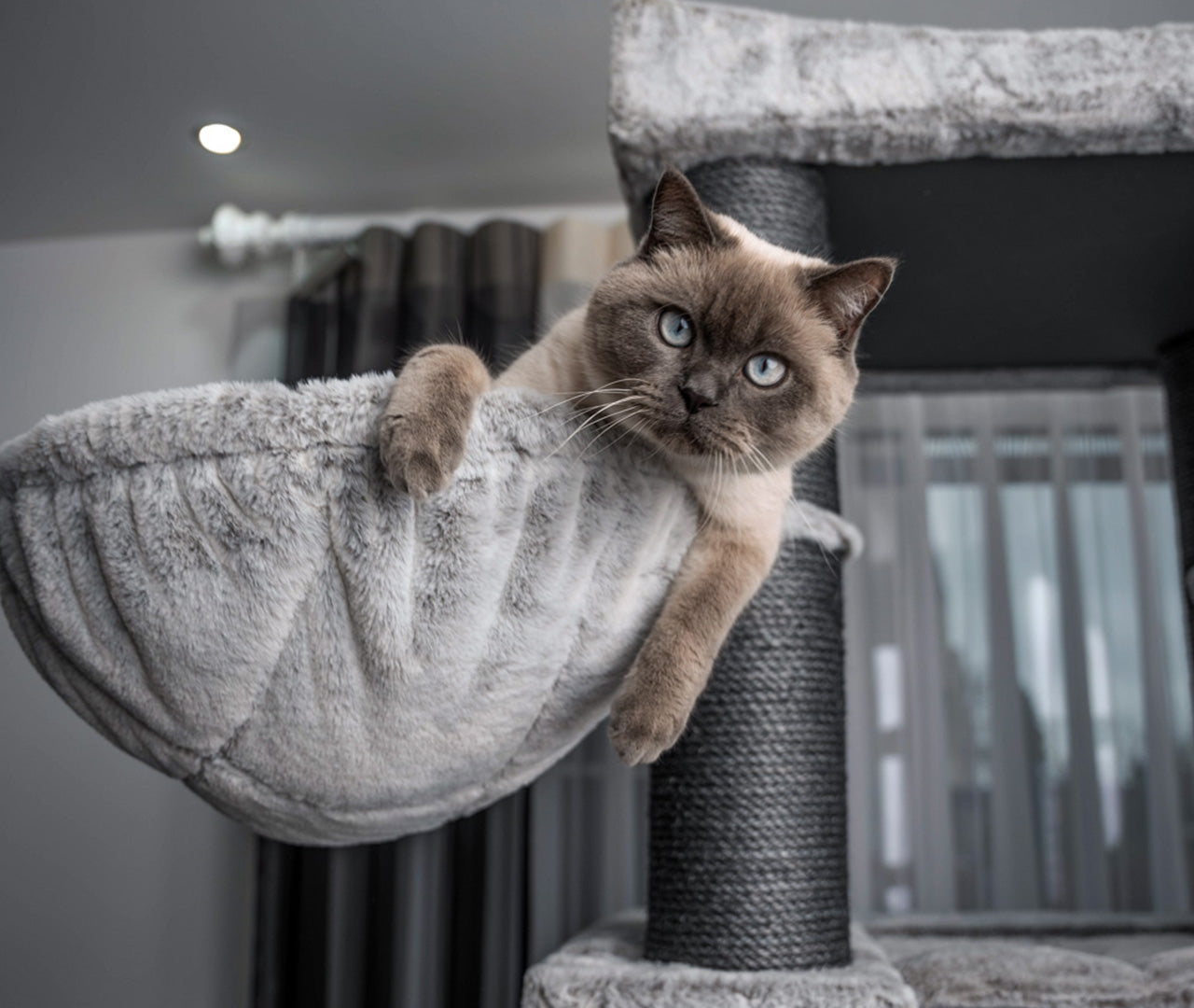 ALLADINS CASTLE: Der Luxus-Kratzbaum für anspruchsvolle Katzen