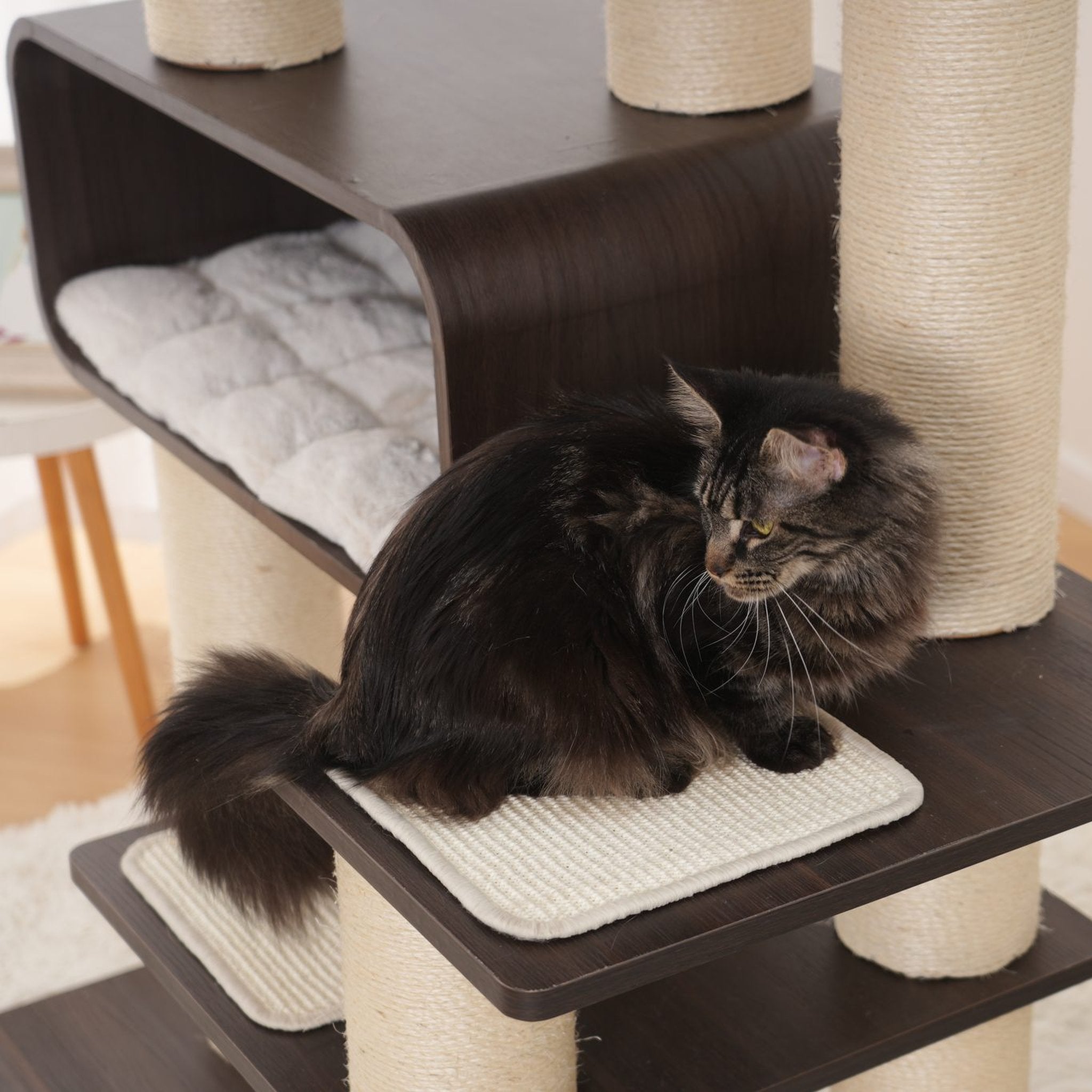 Katze liegt auf einer Zwischenebene des Alcazar Mirage XXL Kratzbaums